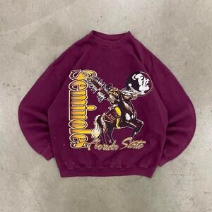 Vintage 90a Florida State University Seminoles TSI 90s Crewneck Size XL